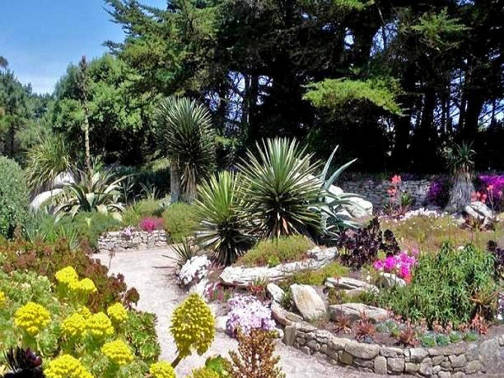 131 Ile de Batz Jardin Georges Delaselle_000014.jpg